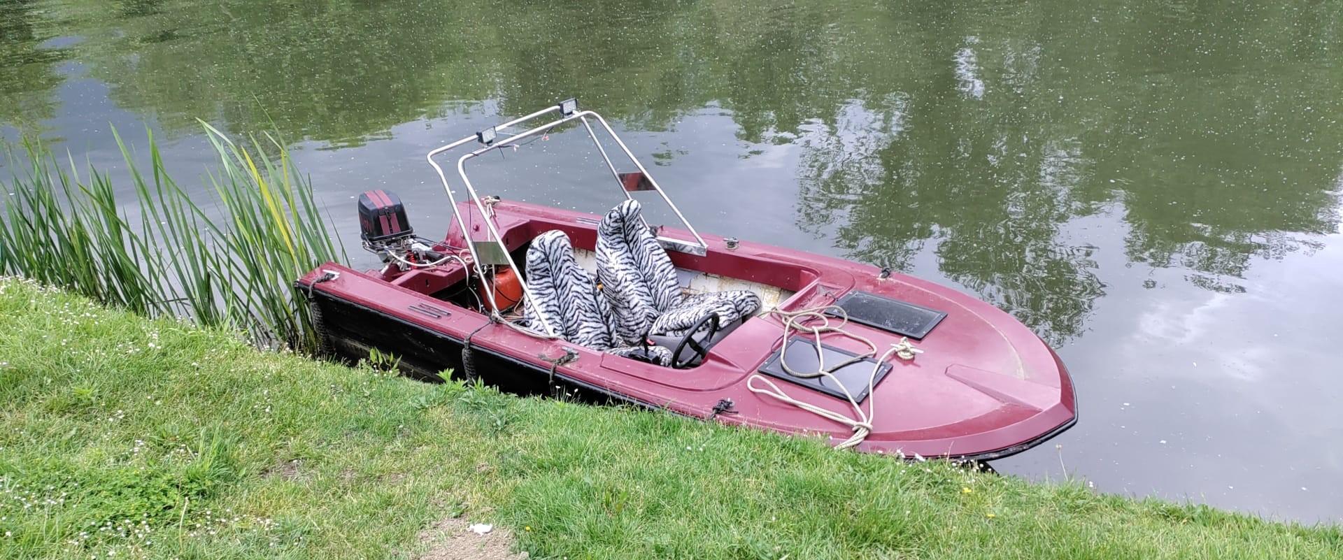 is it a bird no a boat